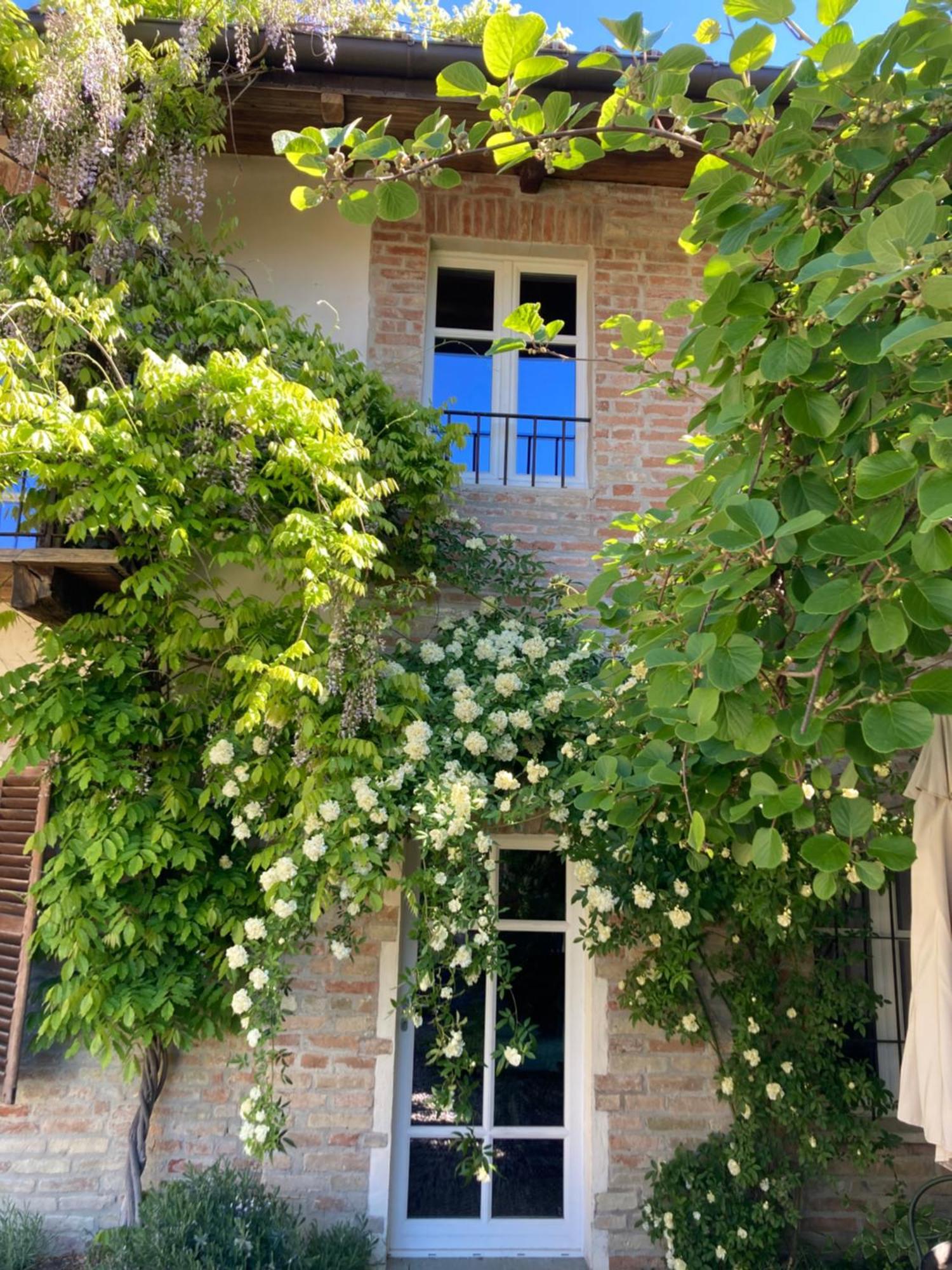 Greeneria Guarene Exteriér fotografie